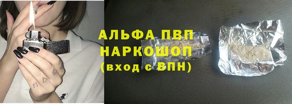 гашик Арсеньев