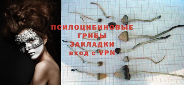 дурь Аркадак