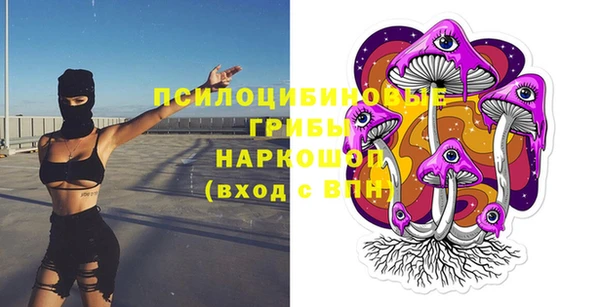 гашик Арсеньев
