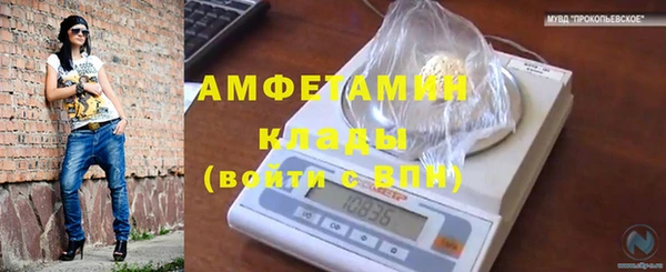 гашик Арсеньев