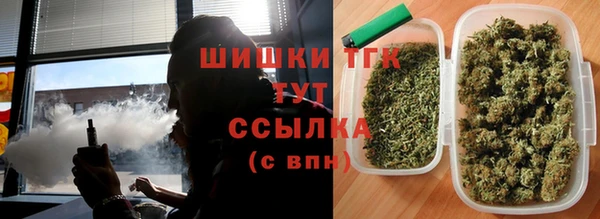 гашик Арсеньев