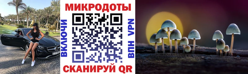 Псилоцибиновые грибы Psilocybe  где найти   Светлоград 